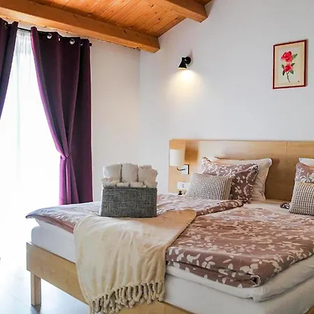 5 Bedroom Stunning In Nedeščina